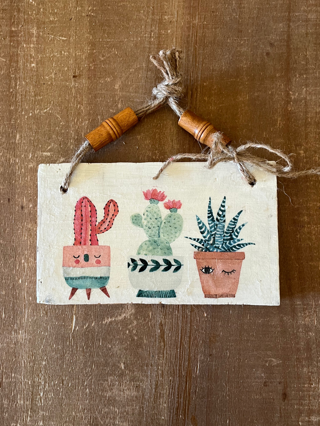 Succulent Wall Hanging: Small