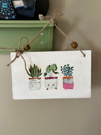 Succulent Wall Hanging: Large