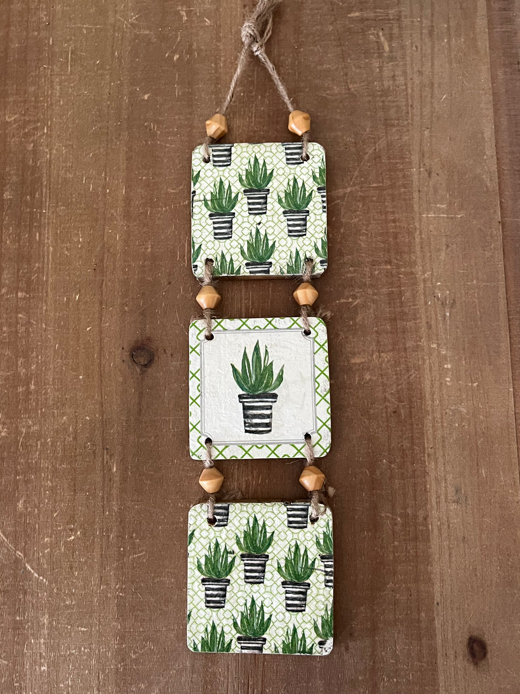 Tri-Succulent Wall Hanging: Design 1