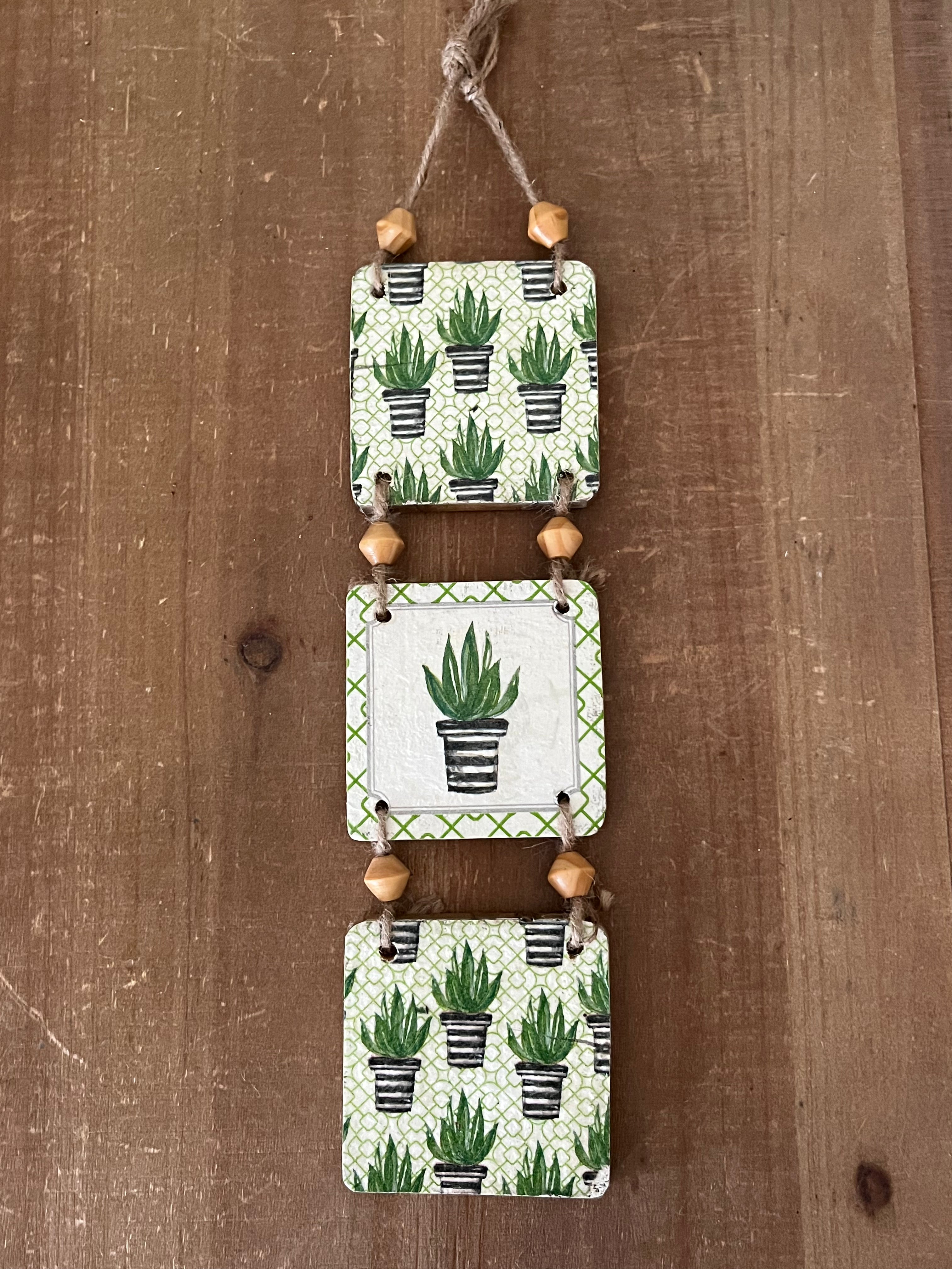 Tri-Succulent Wall Hanging: Design 1