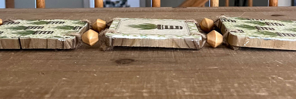 Tri-Succulent Wall Hanging: Design 1