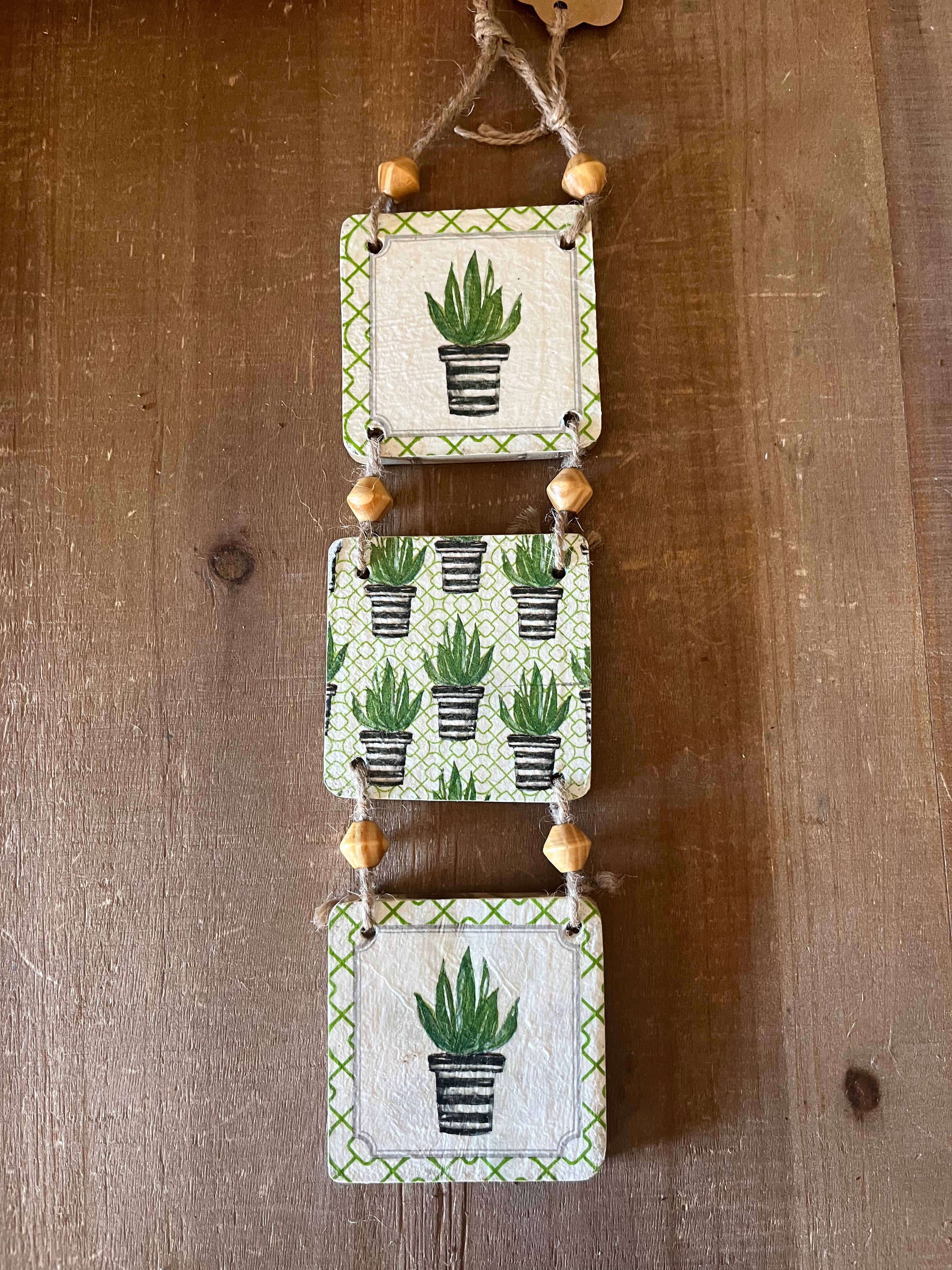 Tri-Succulent Wall Hanging: Design 2