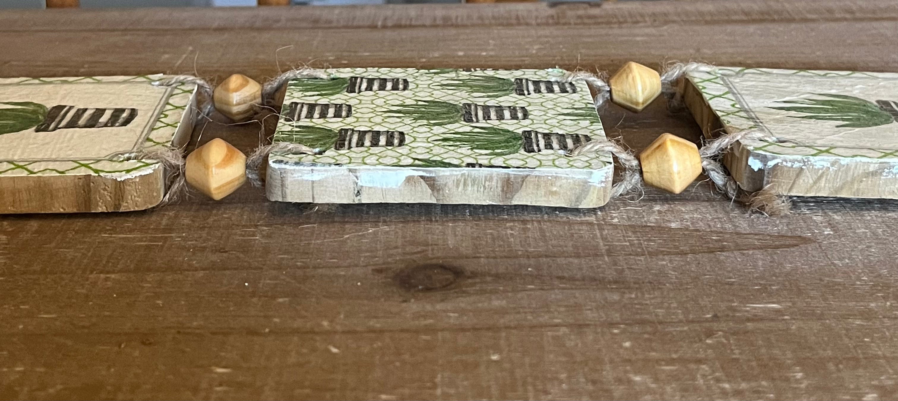 Tri-Succulent Wall Hanging: Design 2