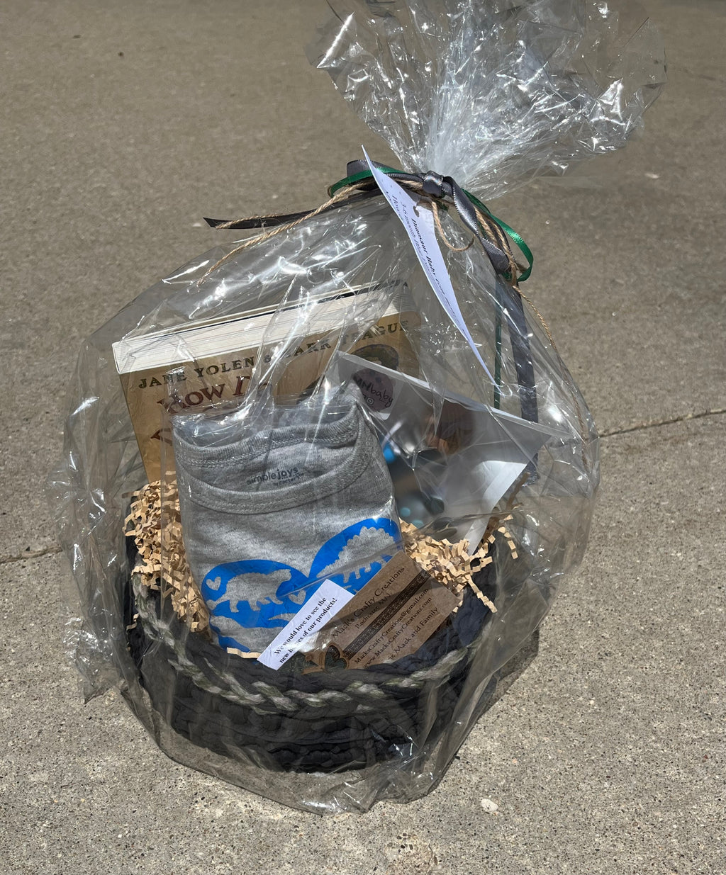 Dinosaur Baby Gift Basket